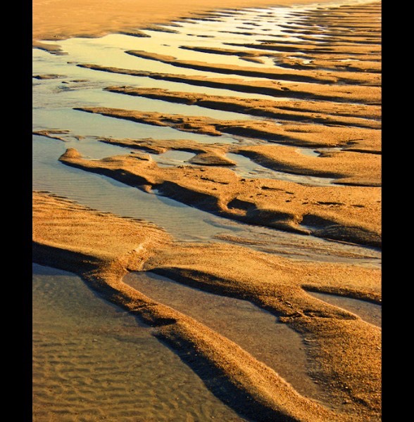 Sand Sculpture